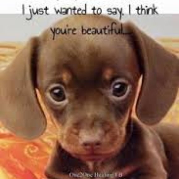 Meet your Posher, Angle - Picture 10 of 13